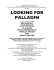 looking for palladin