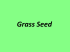 Grass Seed - Crossroads Feed Barn