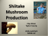 Shitake Mushroom Production - Small Farms / Alternative Enterprises