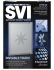SVI - Inside CI