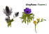 XfrogPlants | Flowers 2