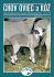 Číslo 01/2010 - Zväz chovateľov oviec a kôz na Slovensku