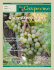 2015 Grapevine Newsletter 1