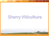 Sherry Viticulture