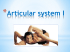 Articular system I