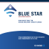 BLUE Star - USAF Services