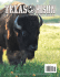 Texas Bison Journal 2012 - Texas Bison Association