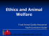 Ethics and Animal Welfare