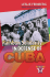Rainbow Solidarity in Defense of Cuba - pdf