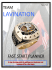 3 - Lavination