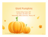 Giant Pumpkins - bigskypumpkingrowers.com