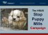 Puppymills – Jill Fritz (HSUS Stop Puppy Mills Campaign)