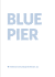 Blue Pier - The New St Pete Pier