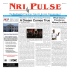 NRI Pulse