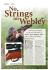 A - Gun Test Webley Stingray.indd