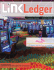 Link Ledger - Volume IX