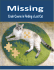 Crash Course in Finding a Lost Cat