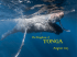 Upcoming Trips - Douglas Underwater