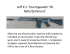 Jeff K.`s `Sturmgewehr 58 Refurbishment`