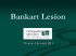Bankart Lesion
