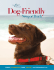 Dog-Friendly - Newport Beach