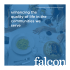 Brochure - Falcon Realty Advisors
