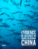 evidence of declines in shark fin demand | china 1