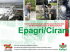 Acting Areas - Epagri/Ciram - Governo do Estado de Santa Catarina