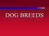 Dogbreeds