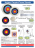Archery Targets/Faces/Stands $6450 $12450 $2900 $28450 $29900