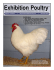 Exhibition Poultry Magazine