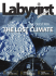 The losT cliMaTe