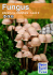 Fungus.2014