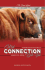 red-connection-catal..