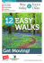 12 Easy Walks - Forest of Dean