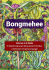 Bongmehee (Apma/Bislama/English dictionary)