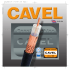 Qing / Cavel Catalogue