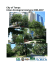 City of Tampa Urban Ecological Analysis 2006-2007
