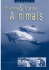 Marine animals Published: 06/08/2009 Size: 1403kb Type
