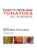 2016 Seed Catalogue - Casey`s Heirloom Tomatoes