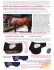 BASIC Shim Patterns for UPHILL or Level HORSES