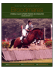 Broodmares Section