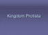 Kingdom Protista File