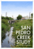 San Pedro Creek Preliminary Engineering Report