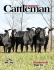 Feeder Cattle - Midwest Cattleman
