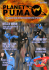 Issue 14 - Puma UK