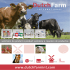 Dutch Farm product summary