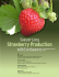 Strawberry Production - Sustainable Agriculture Research and
