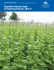 ID-36: Vegetable Production Guide for