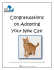 Congratulations on Adopting Your New Cat!